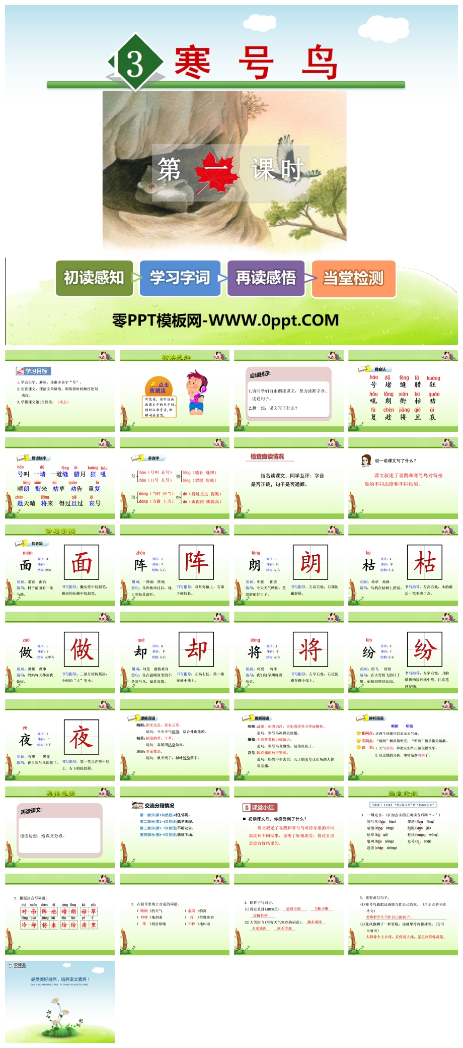 PPT1ʱ-˽̰Сѧ