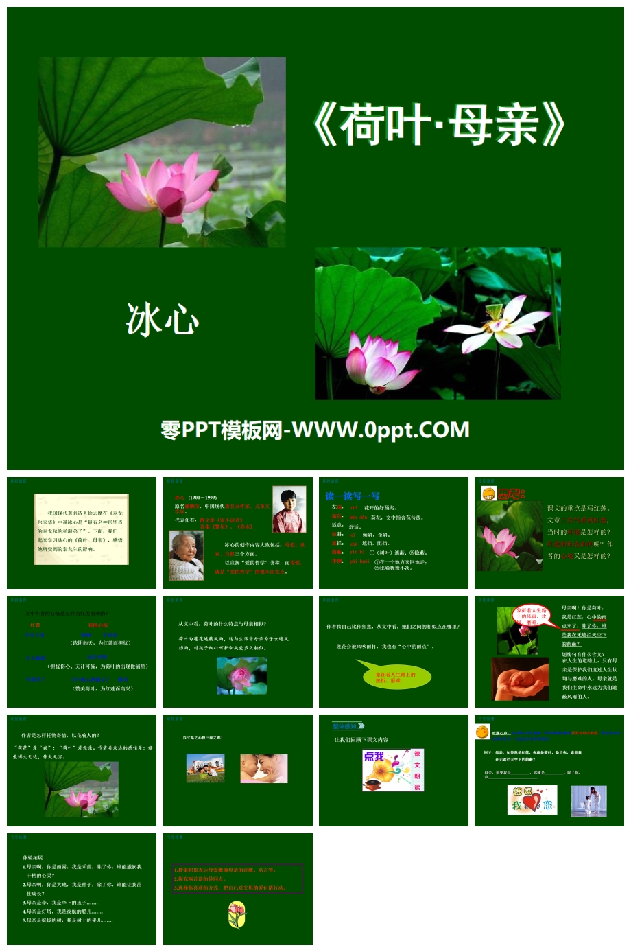 ҶĸסPPTμһ-˽̰Сѧ