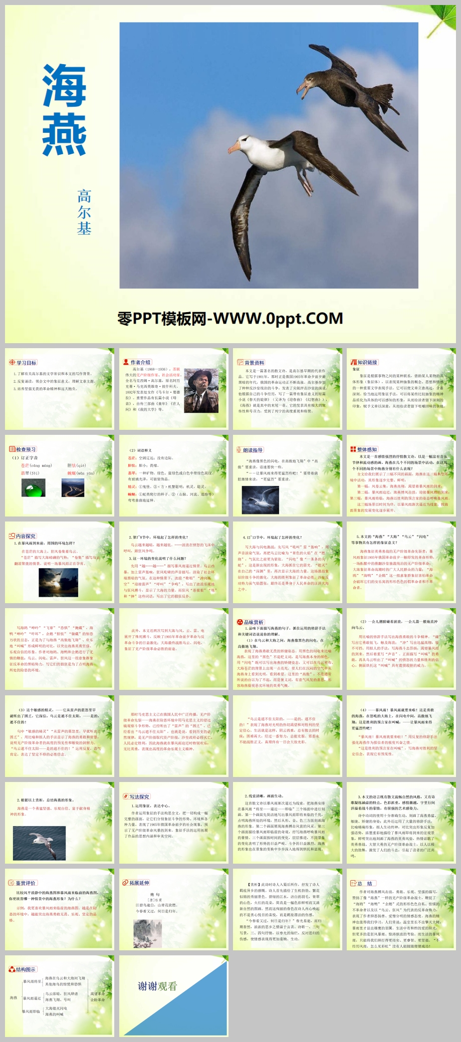 PPTμ6